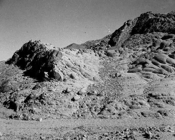 Images/1951 1LF 1951 Aquab  Hills549.jpg